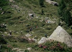 _mg_7215.jpg