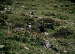 _mg_7228.jpg