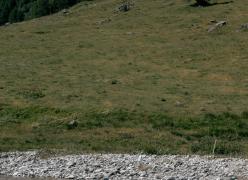 _mg_5618.jpg