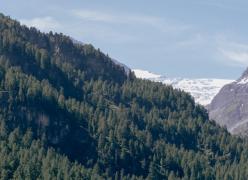 _mg_5879.jpg