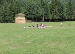 img_1558.jpg