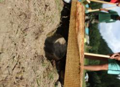 img_1596.jpg