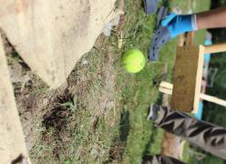 img_1599.jpg