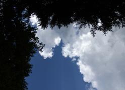 img_1667.jpg