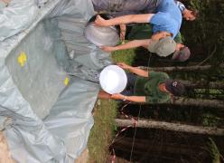 img_1674.jpg