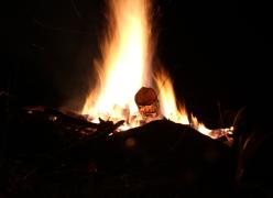 img_1801.jpg