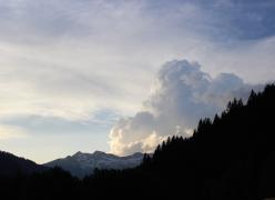 img_1458.jpg