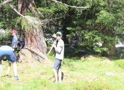 img_7420.jpg