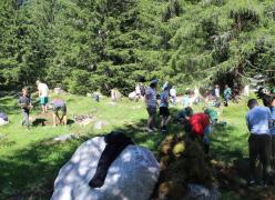 img_7425.jpg