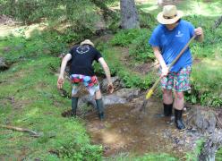 img_7520.jpg