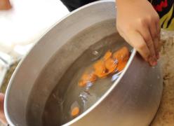 img_7540.jpg