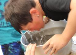 img_7541.jpg