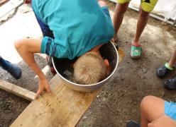 img_7546.jpg