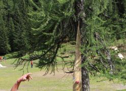 img_7568.jpg