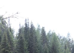 img_7583.jpg