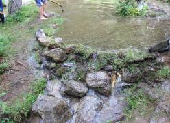 img_7648.jpg
