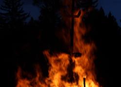 img_7733.jpg