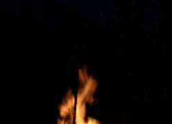 img_7771.jpg