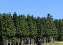 img_4669.jpg