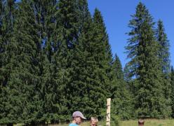 img_4764.jpg