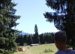 img_4779.jpg